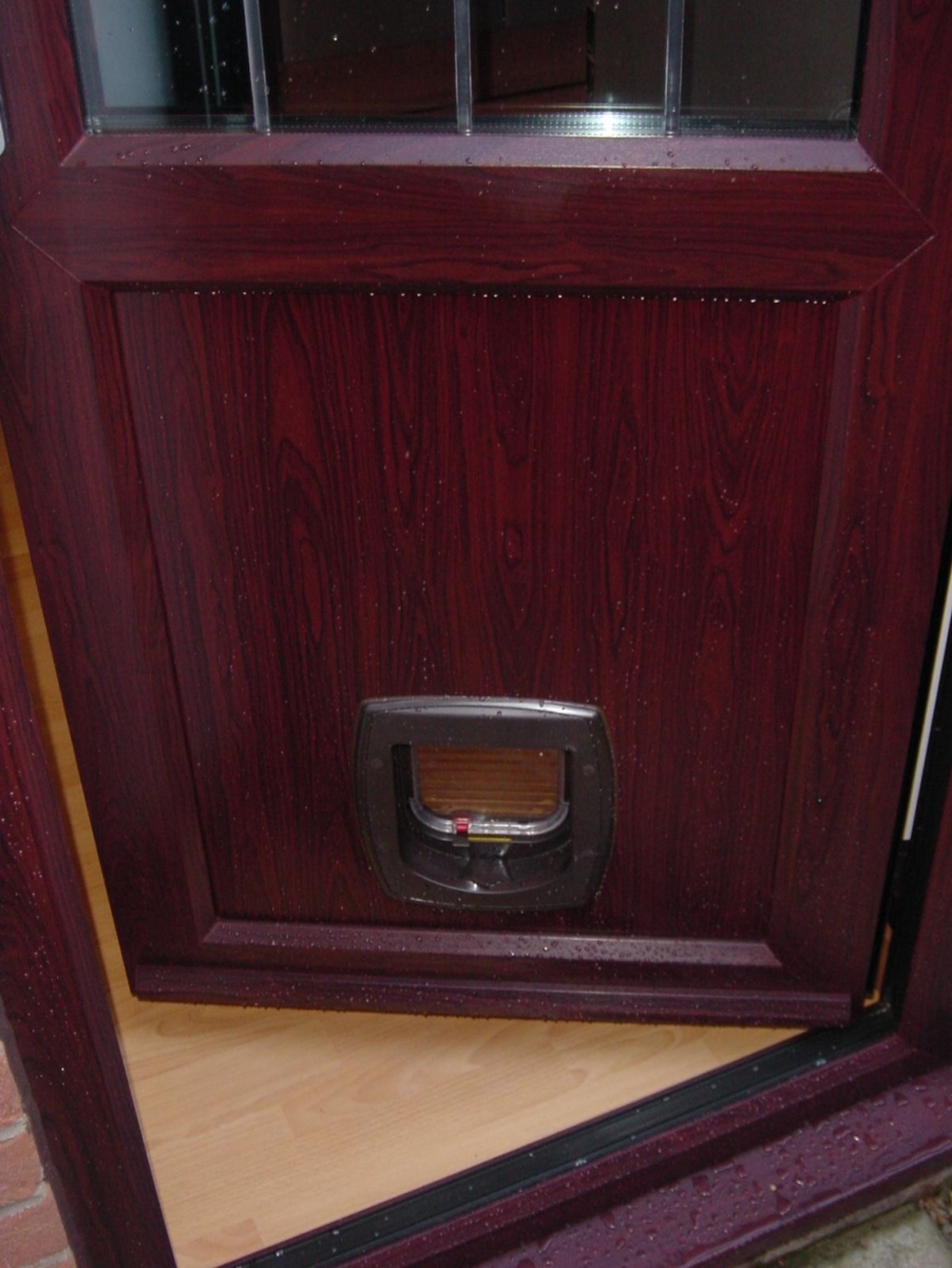Feline Entry System (cat flap), Norwich